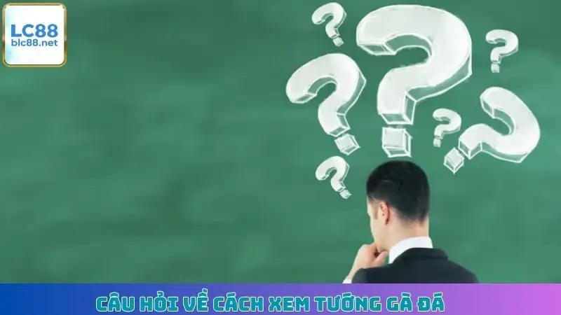 Câu hỏi về cách xem tướng gà đá